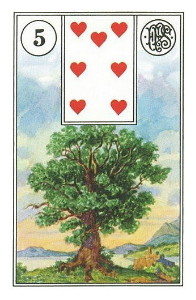 READING MEDIEVAL TAROT, THE CARD OF FIDELITY